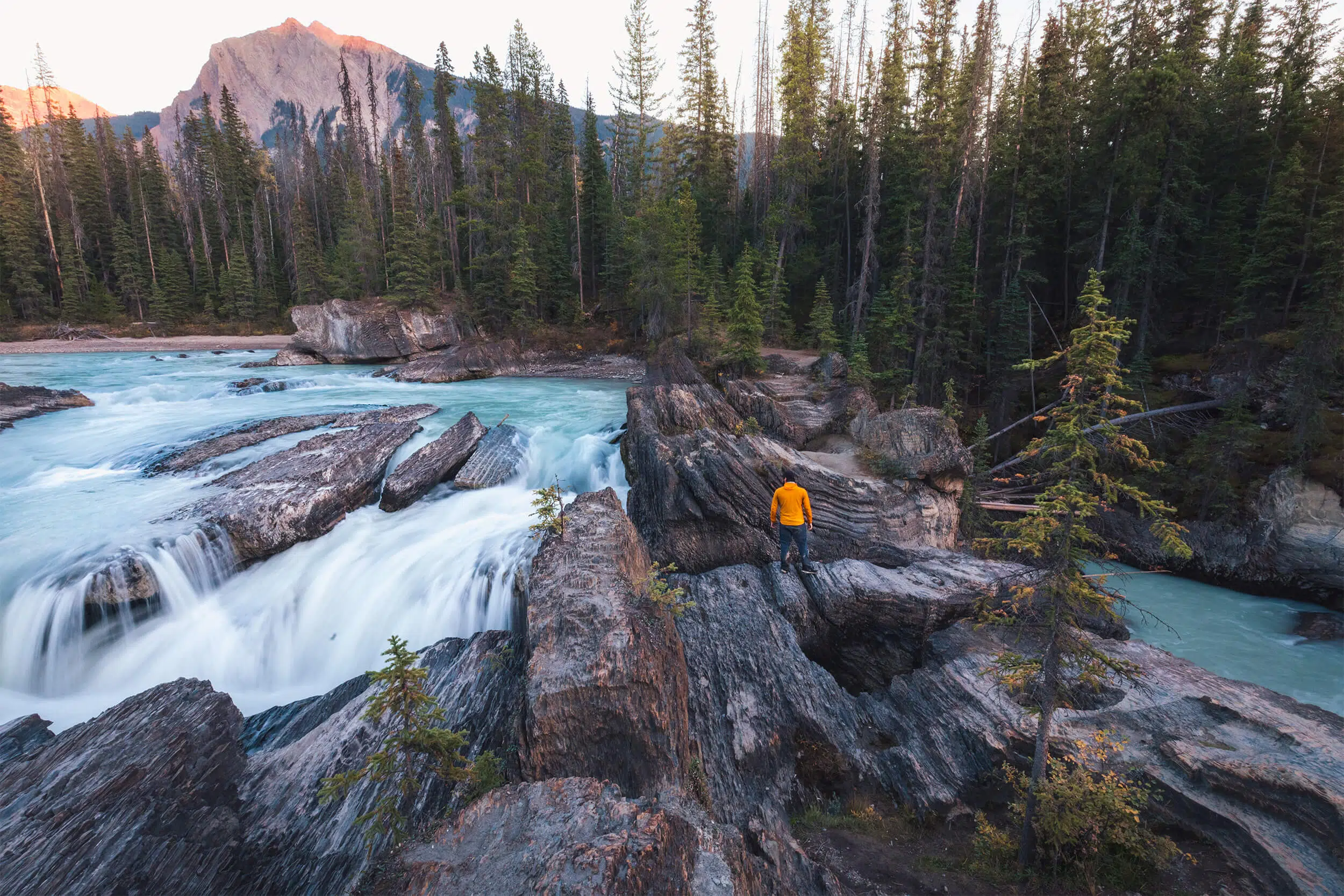 Yoho National Park's Natural Bridge: Stunning Views & Easy Access